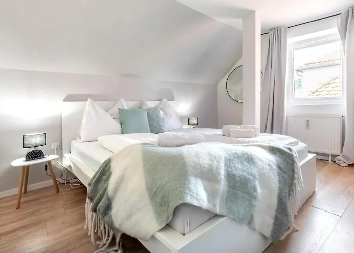 Noor - Dolce Flair In Center